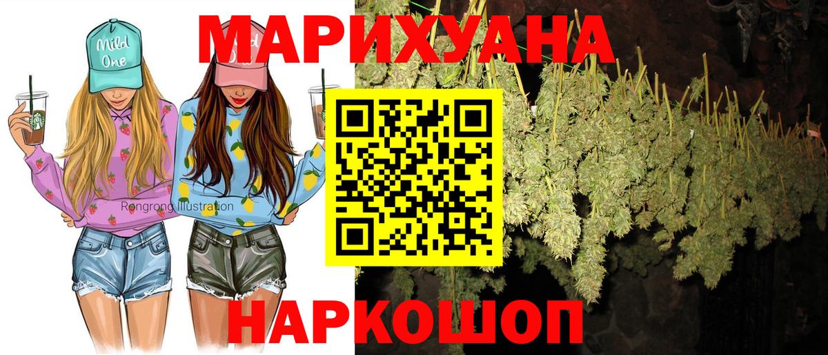 Канабис сатива Гусь-Хрустальный